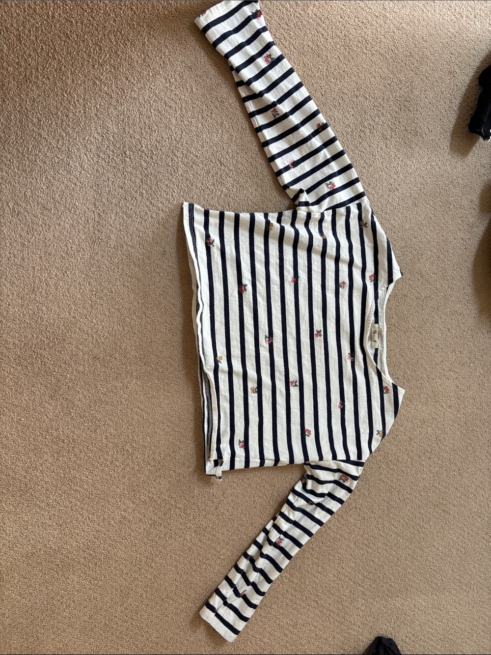 Madewell Navy & White Striped Long-Sleeve Tee with Floral Embroidery